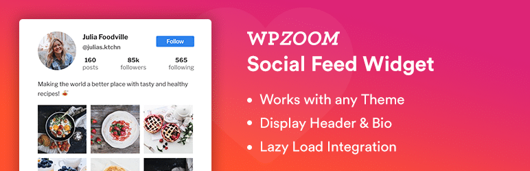 WordPress plugin WPZOOM