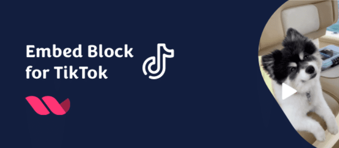 TikTok Embed Block WordPress Plugin